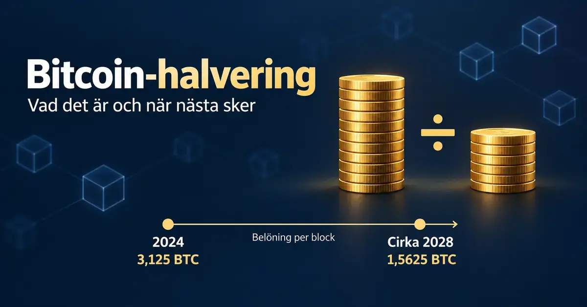 Grafik om Bitcoin-halvering med två staplar av guldmynt och en tidslinje som visar blockbelöningen på 3,125 BTC från 2024 och 1,5625 BTC efter nästa beräknade halvering omkring 2028.
