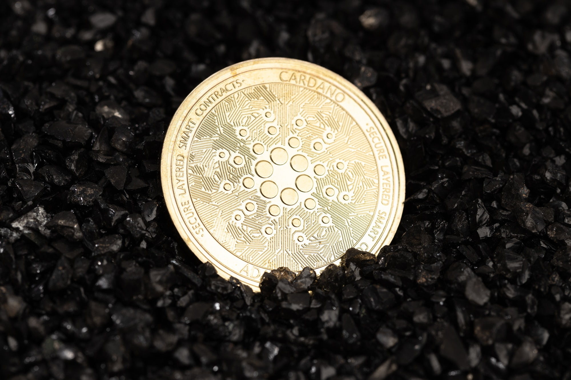 Cardano coin on black gravel background
