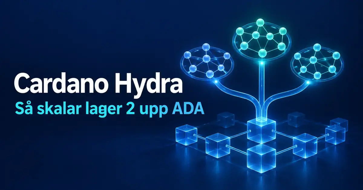 Illustration av Cardano Hydra med tre lysande nätverk ovanför sammankopplade block och texten ”Cardano Hydra – Så skalar lager 2 upp ADA”.
